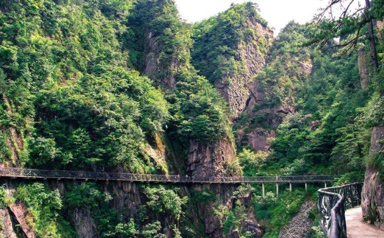 米乐米可森林大冒险